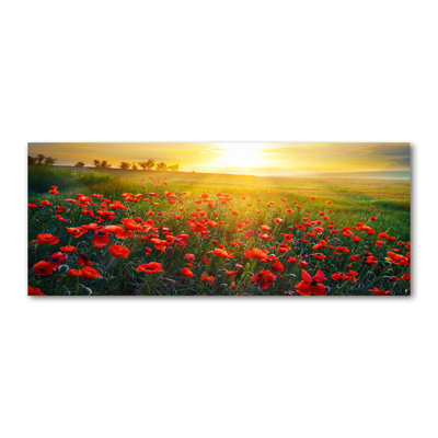 Field Of Poppies - Wrapped Canvas Print