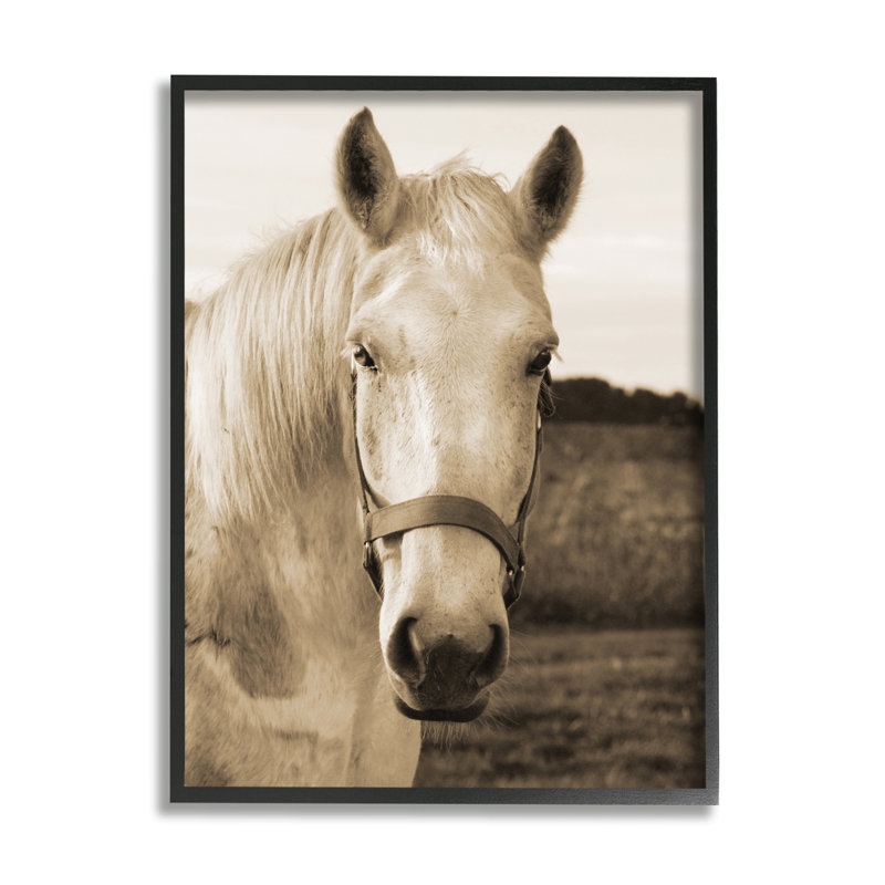 Portrait rustique de cheval blanc sépia par Suzanne Foschino - photographie, H 20 po x l 16 po, Giclée encadrée noir minuit