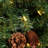 Faux Lighted Pine 48'' Wreath