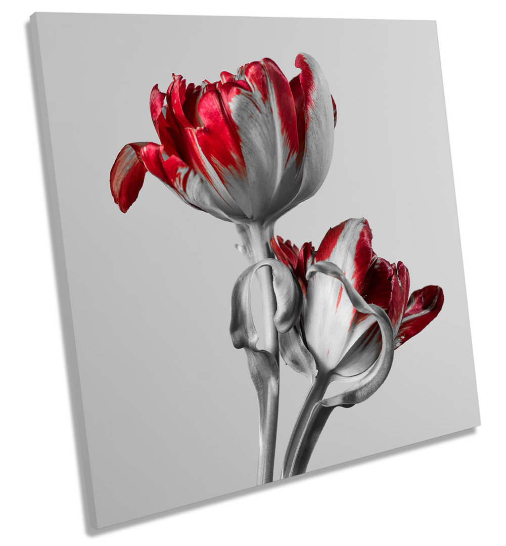 Tulip Flowers - Wrapped Canvas Print