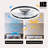 Dusen 19.7 in. Ceiling Fan with LED Lights