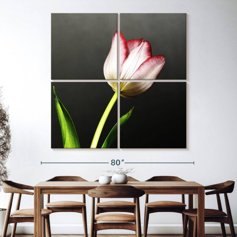 Red Tipped White Tulips, 74" H x 74" W