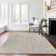  Premium Machine Washable Jaylia AMF99 Rug
