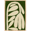 Tulip By Studiom - Framed Wall Art-934767051-934767053