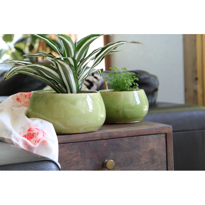 Jewel Freeform Bowl By , Case of 4, Pistachio Crackle