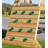 YardCraft Pine Swing Set with Swing(s)-50146560