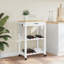 Kitchen Serving Cart-2102697502