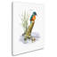 « kingfisher », reproduction d’impression sur toile tendue-21937642