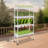 Hydroponic Grow Kit