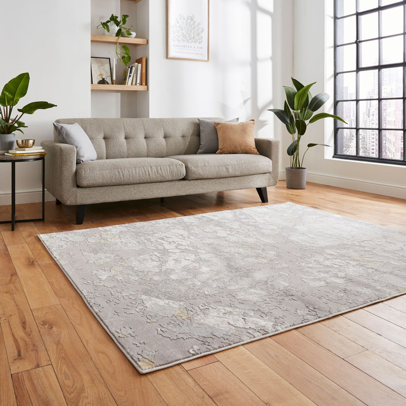 Apollo area rug Machine Woven Rectangle Grey, Rectangle 120 x 170cm