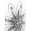 4 Piece Metal Wall Wall Sconce Set-32992423