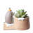 Analilia Statue Planter