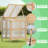 2 Tier Foldable Cold Frame Greenhouse
