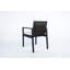 Alar Outdoor Dining Armchair with Cushion