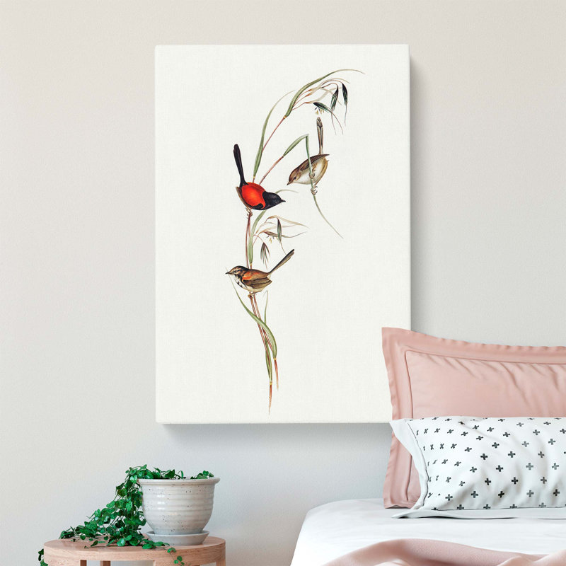 Black-Headed Wren by Elizabeth Gould - Wrapped Canvas Painting Print, 50cm H x 35cm W x 3cm D