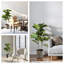 Faux Fiddle Leaf Fig Plant in Pot
