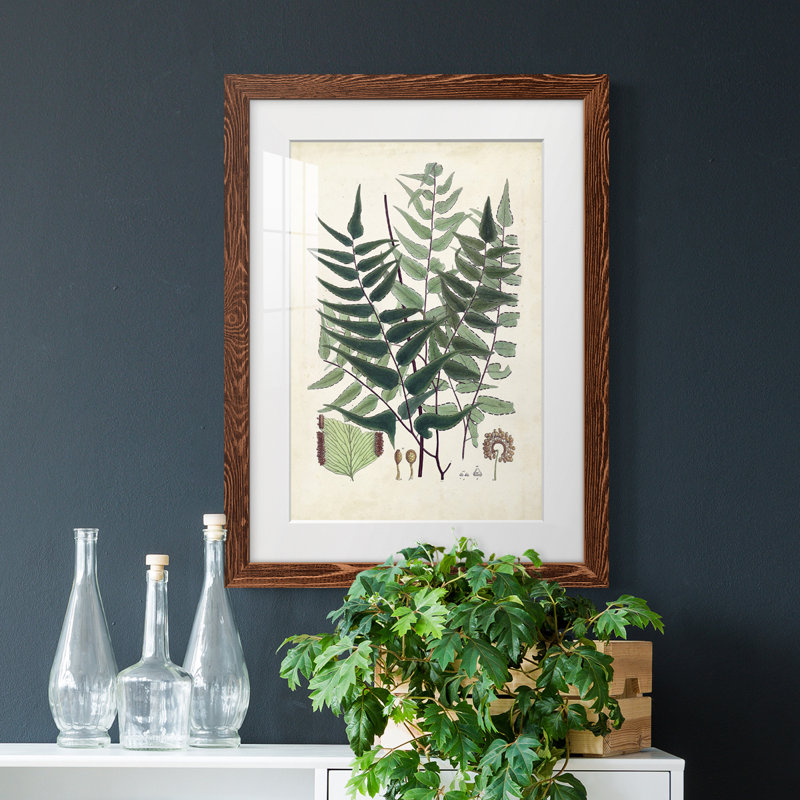 Collectionner Ferns VII Premium encadré mat - prêt à être accroché, Érable, H 38 po x l 28 po x P 1 po