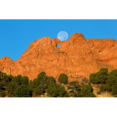 " The Kissing Camels "