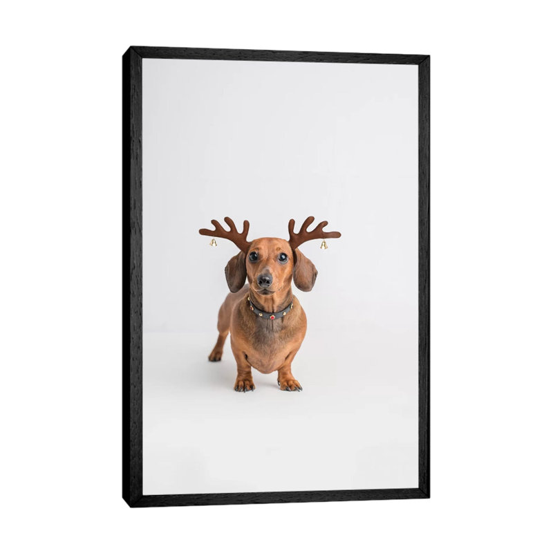 Frankie by Rachael Hale - Print on Canvas, 66.04 cm H x 45.72 cm W, Black Framed