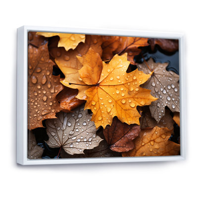 «Yellow and Orange Autumn Mapple Leaves 4», art mural érable