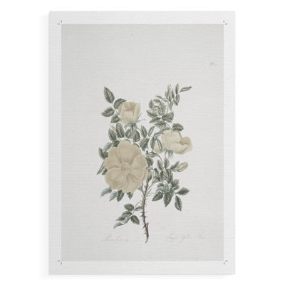 Vintage Floral Print CXLIV -Canvas Print Only - NOT FRAMED