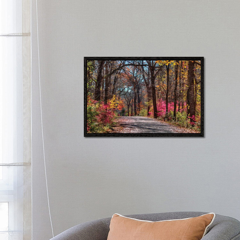 Manor Trail by David Gardiner - Print on Canvas, 45.72cm H x 66.04cm W x 3.81cm D, Black Framed