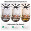 Ventilateur de plafond 72 po Modern Farmhouse