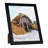 Ariabella Picture Frame-354047763-354047762