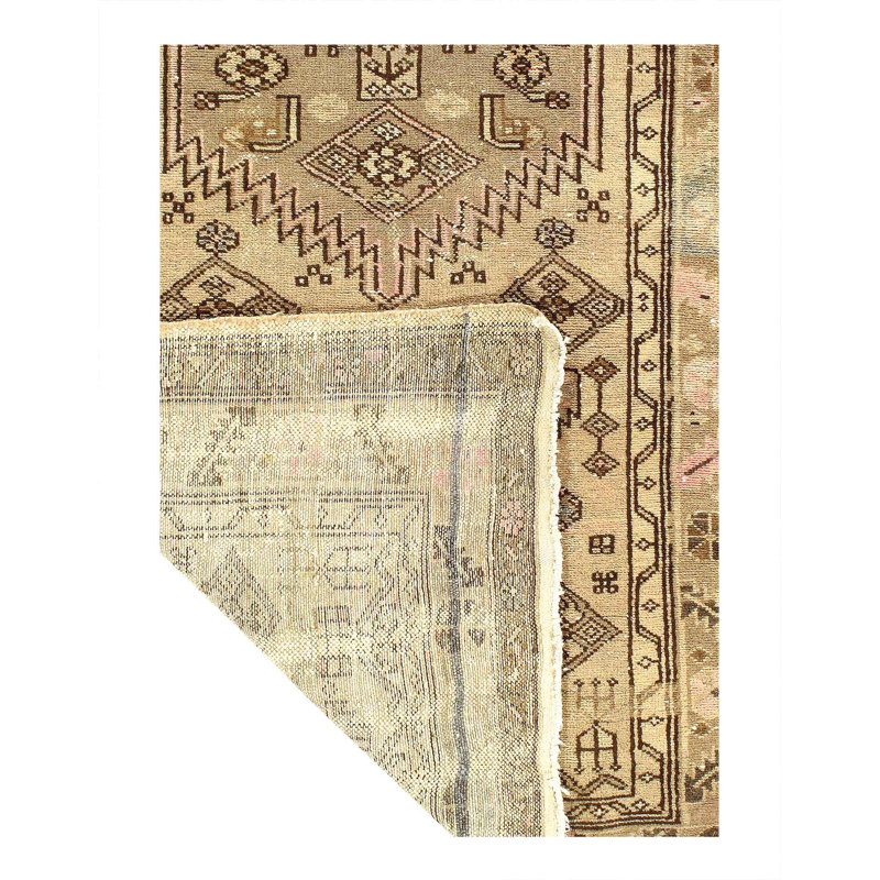 Hartwald Oriental Area Rug