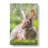 Rabbit In A Green Field - Wrapped Canvas Print-56666450