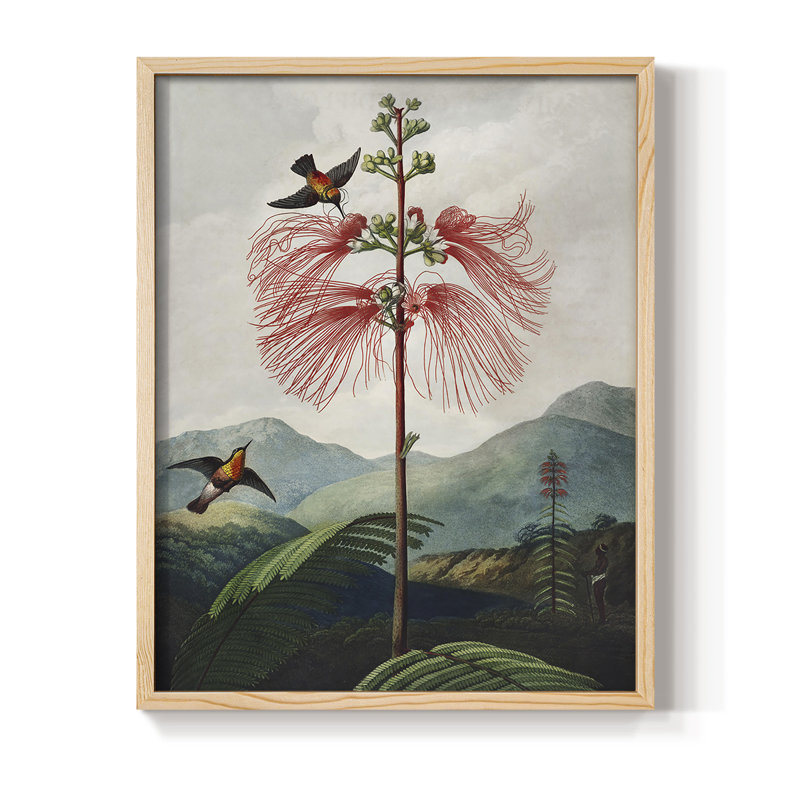 Temple of Flora VIII, reproduction encadrée - bois massif, H 11 po x l 9 po