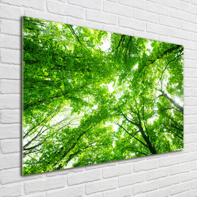 Green Forest - No Frame Print on Glass