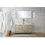 Ensemble de miroir de meuble-lavabo double 60 po x P 20 po Lafarre-113113398-113113396