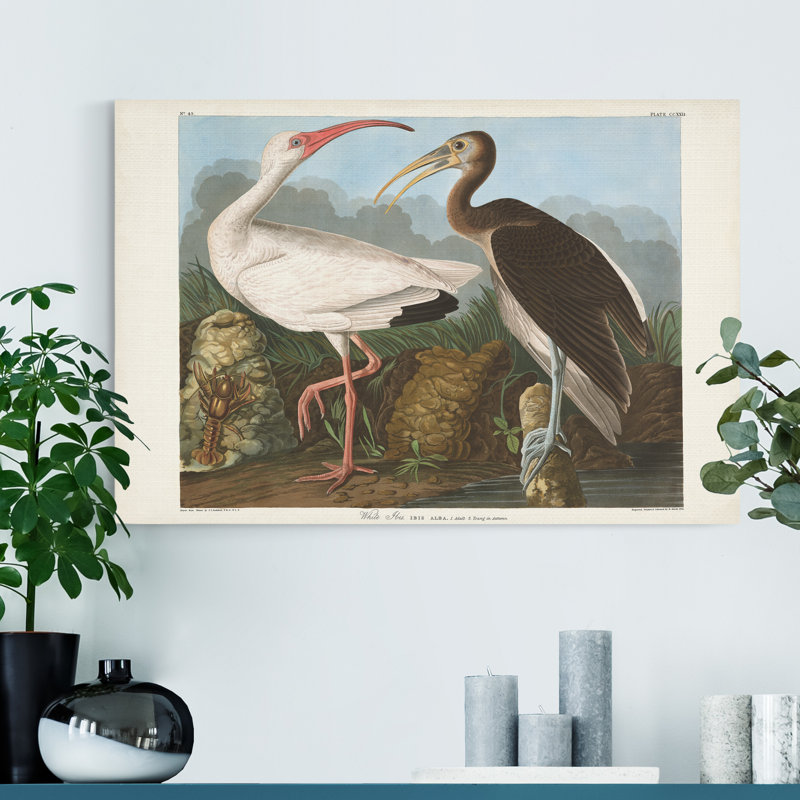 Impression sur toile tendue « pl 222 White », H 36 po x l 24 po x P 1 po