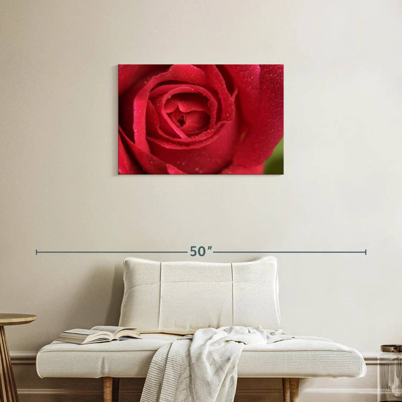 Rose rouge Harnek, H 20 po x l 30 po