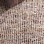 Tapis Murdock 331 ivoire / taupe-2040612026