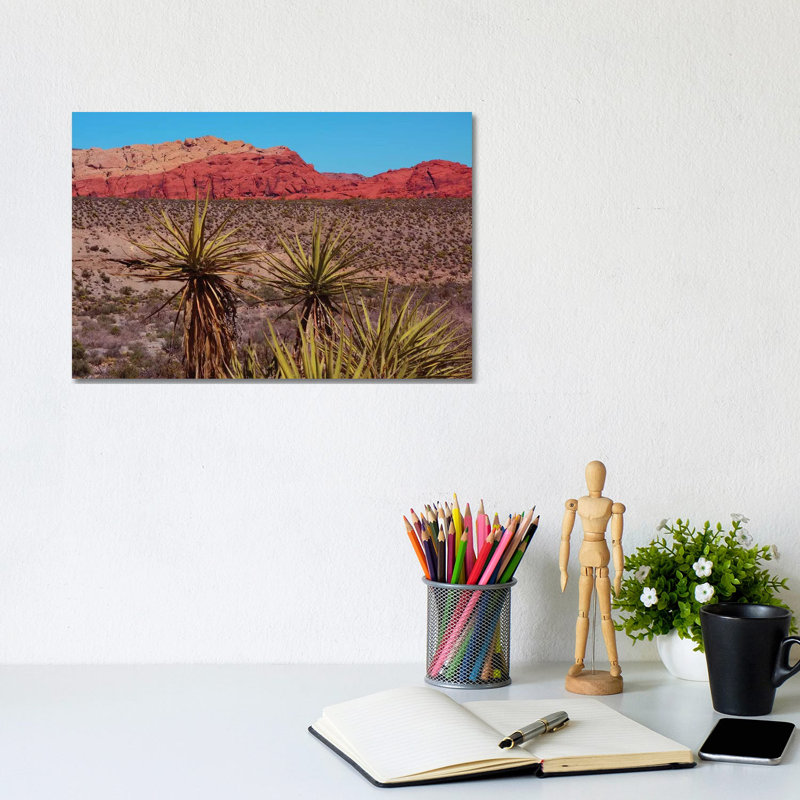 Soaptree Yucca, Red Rock Canyon National Conservation Area, Nevada, USA 1 Piece Wrapped Canvas Wall Art