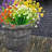 Mixed Arrangement-1433133667