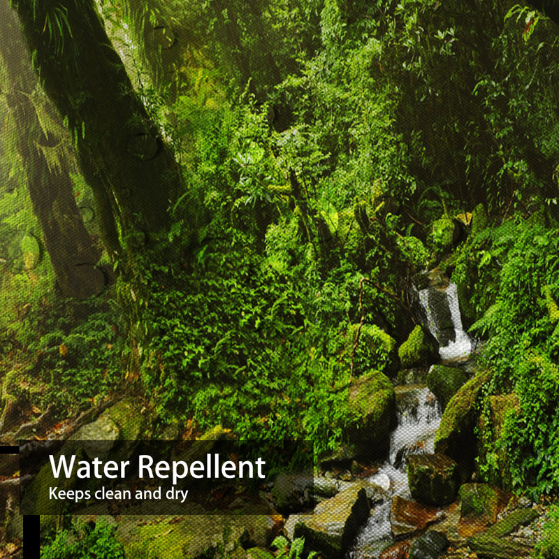 Rideau de douche avec 12 crochets, Népal, jungle, forêt, forêt, environnement, pluie, paysage, L 72 po x l 72 po