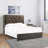 Upholstered Platform Bed-822958294-822966995
