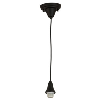 Luminaire suspendu noir thermolaqué 1 lumière Danaleigh
