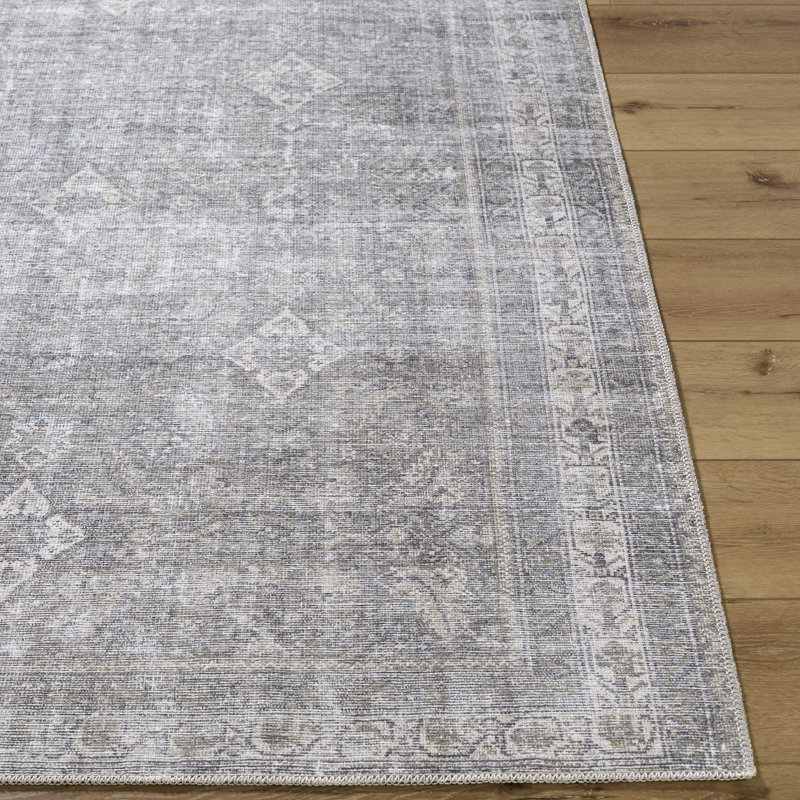 Allizon Machine Washable Area Rug, Runner 2'7" x 10'