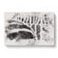 The Stripes of the Zebra - Wrapped Canvas-56658799
