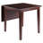 Irieana Solid Wood Top Dining Set-1487936514