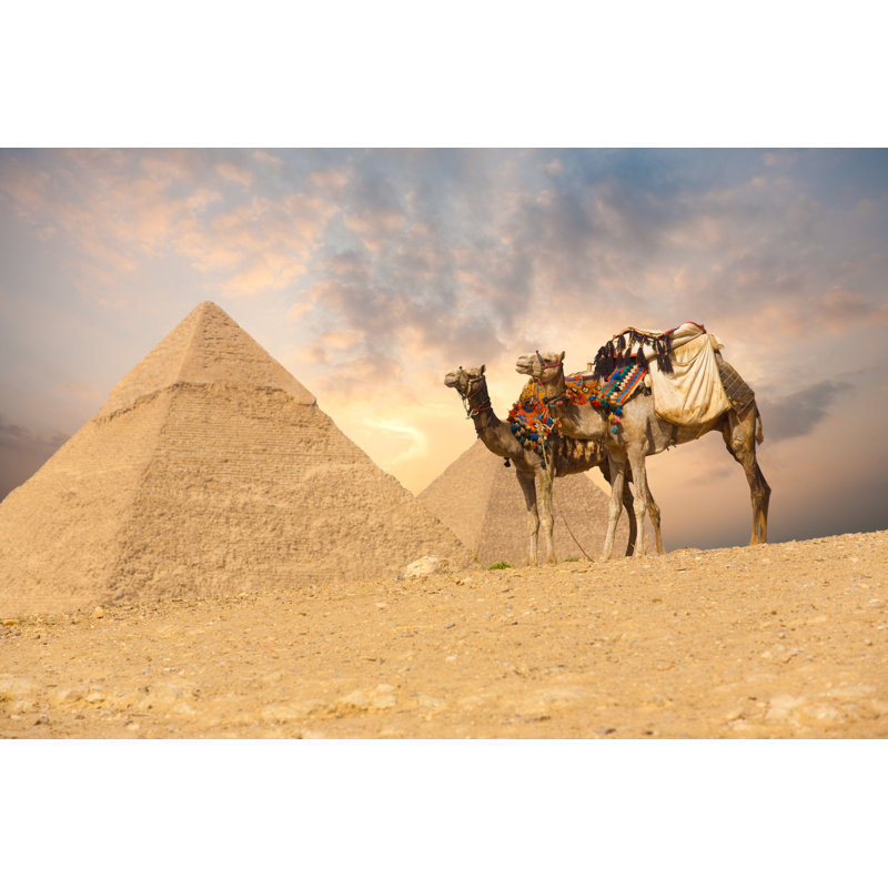 " Double Camel " by Pius99, 12'' W x 8'' H