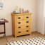 Nagle 4 Drawer 70cm W Chest