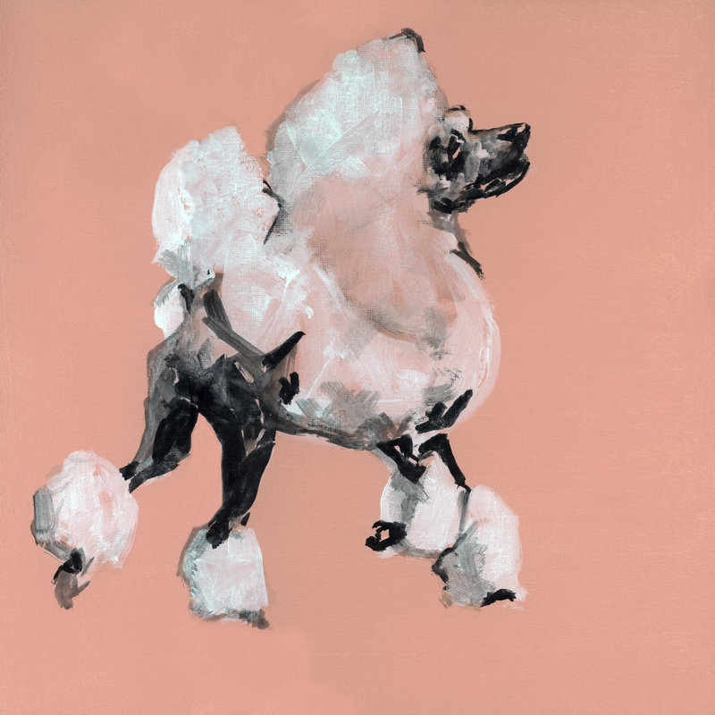 A Very Pop Modern Dog II by Cartissi - No Frame Painting on Canvas, 30cm H x 30cm W x 3.8cm D