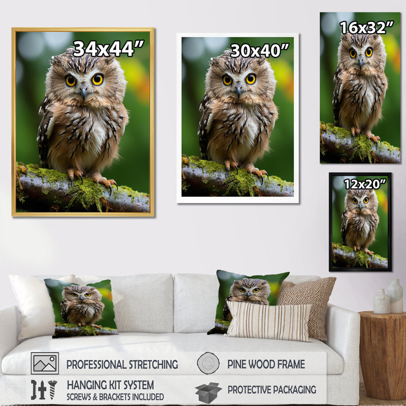 Portrait d'une chouette brune I sur toile, H 44 po x l 34 po, Toile tendue