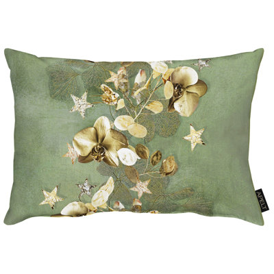 Cushion