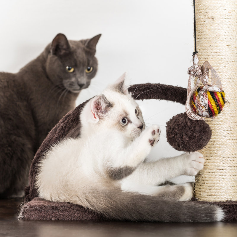 Beige 4-Tier Sisal Cat Tower with Hammocks and Condo